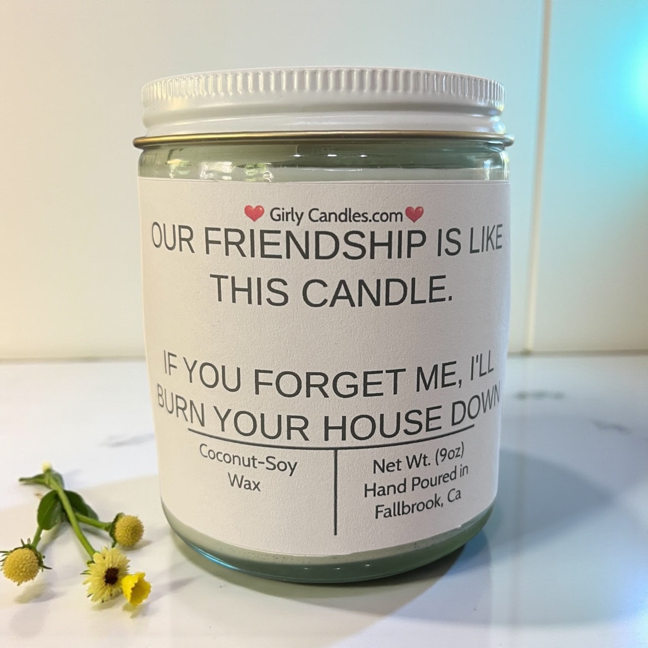 Our Friendship Is Like This Candle, If You Forget About Me I'll Burn Your House Down