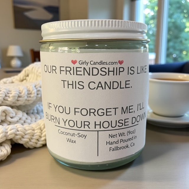 Our Friendship Is Like This Candle, If You Forget About Me I'll Burn Your House Down - Girly Candles