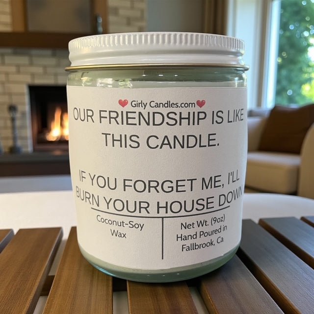 Our Friendship Is Like This Candle, If You Forget About Me I'll Burn Your House Down - Girly Candles