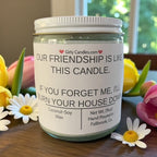 Our Friendship Is Like This Candle, If You Forget About Me I'll Burn Your House Down - Girly Candles
