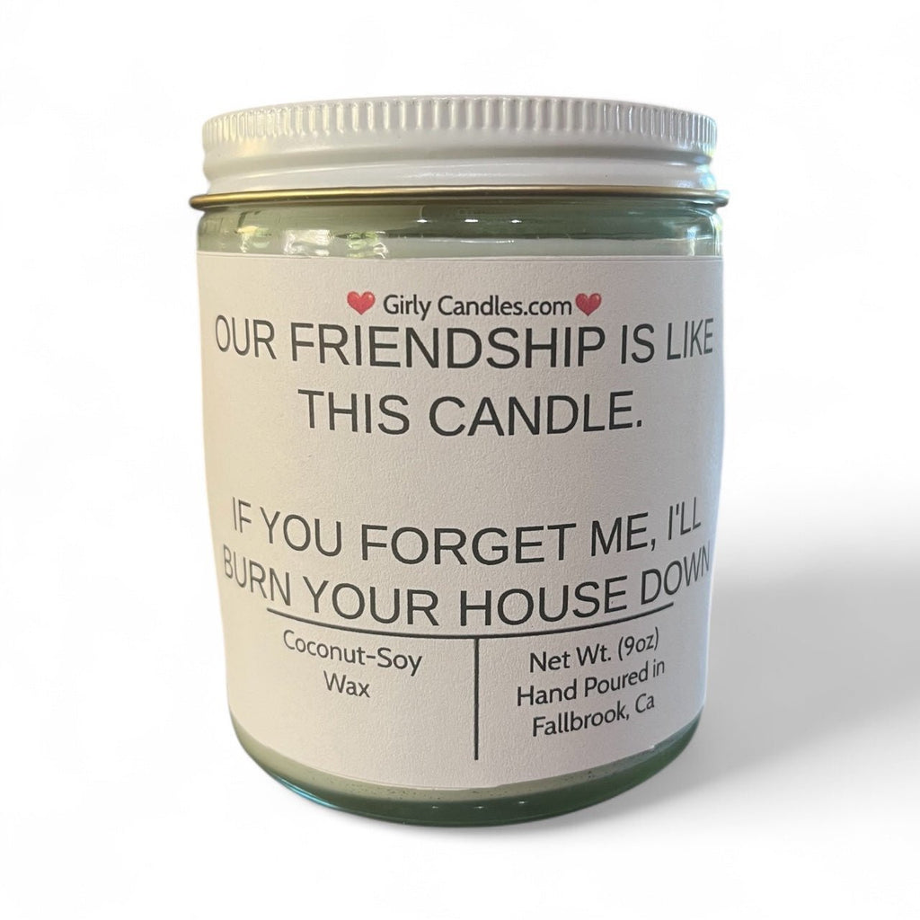 Our Friendship Is Like This Candle, If You Forget About Me I'll Burn Your House Down - Girly Candles