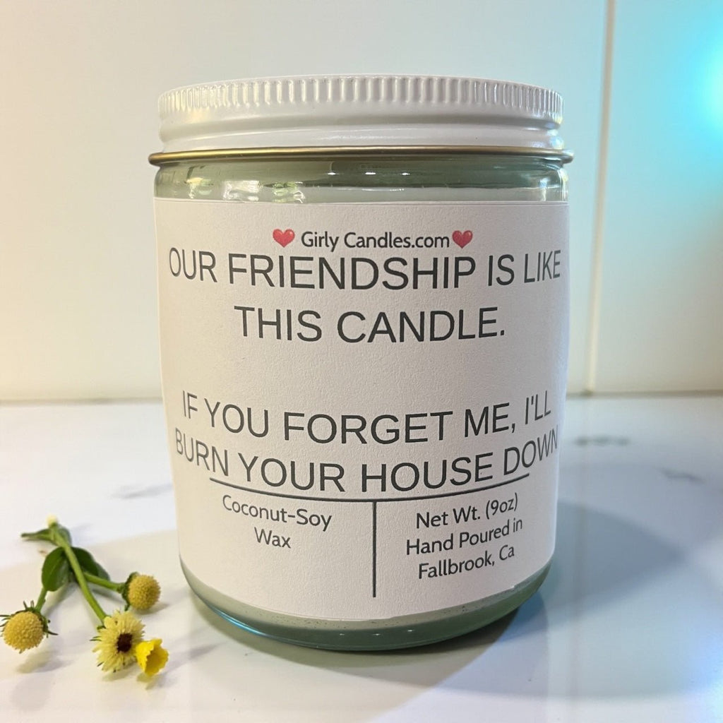 Our Friendship Is Like This Candle, If You Forget About Me I'll Burn Your House Down - Girly Candles