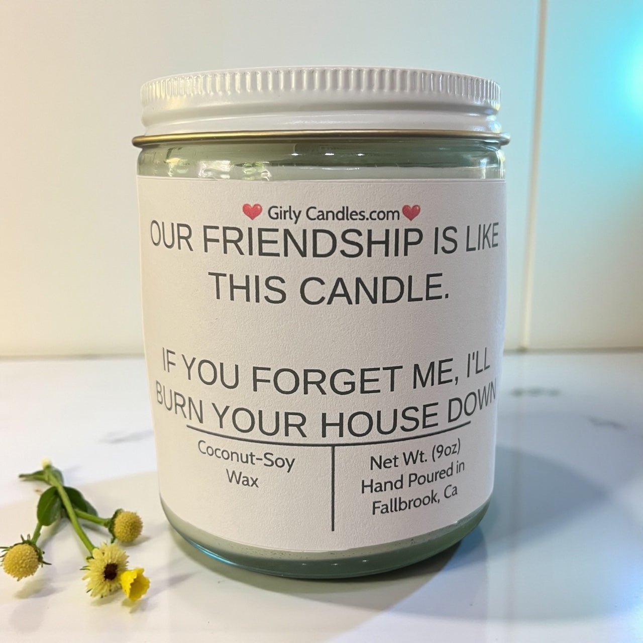 Our Friendship Is Like This Candle, If You Forget About Me I'll Burn Your House Down - Girly Candles